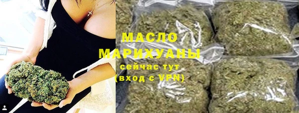 стаф Каменка