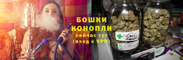 прущие грибы Каменногорск