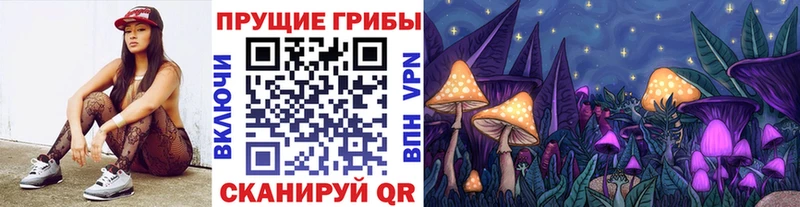 Купить  Железногорск  Псилоцибиновые грибы MAGIC MUSHROOMS 