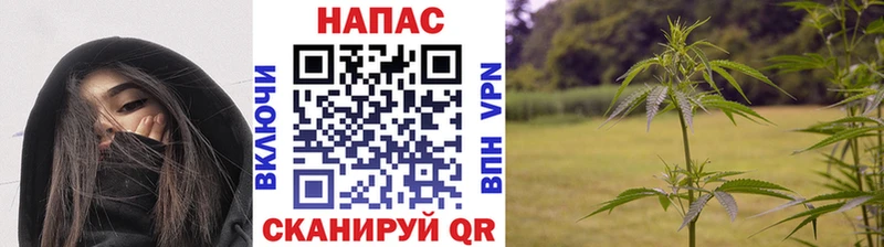 Шишки марихуана марихуана  Купить  Железногорск 